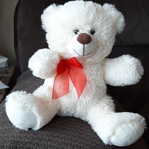 White Little Teddy Bear